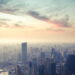 Uma das cidades mais vibrantes do mundo ganhou novos moradores por sua cultura oriental
