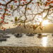 O local ideal para quem deseja aventura e paz ao mesmo tempo