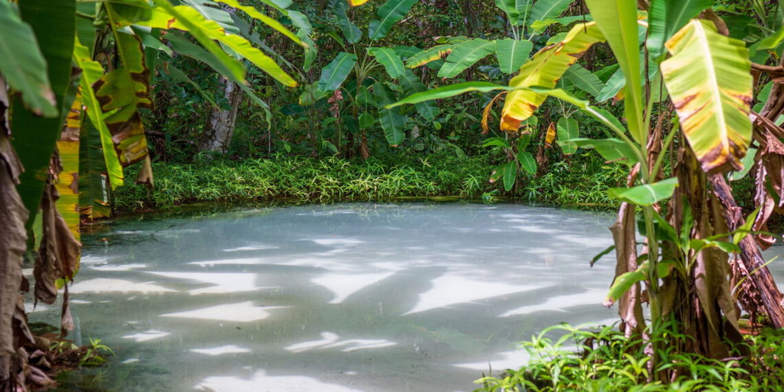 O lugar mágico no Brasil onde a natureza desafia a lógica