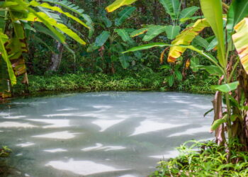 O lugar mágico no Brasil onde a natureza desafia a lógica