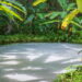 O lugar mágico no Brasil onde a natureza desafia a lógica
