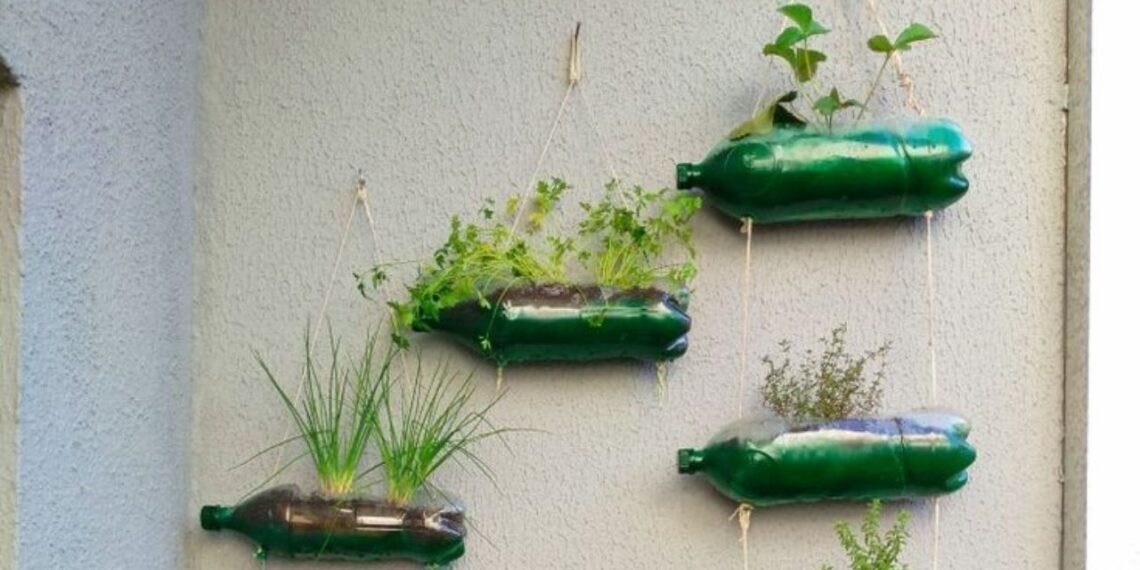 Esse truque com PET vai deixar seu jardim encantador