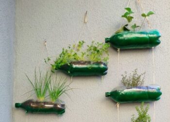 Esse truque com PET vai deixar seu jardim encantador