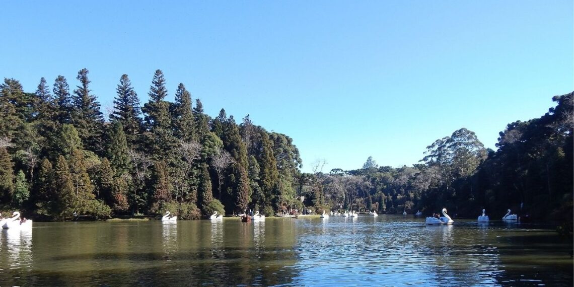Gramado e Campos do Jordão saiba qual é a sua cara no inverno