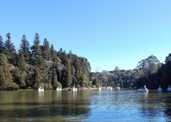 Gramado e Campos do Jordão saiba qual é a sua cara no inverno
