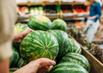 Veja dicas incríveis que vão te surpreender do quão fácil que é cultivar melancia em casa