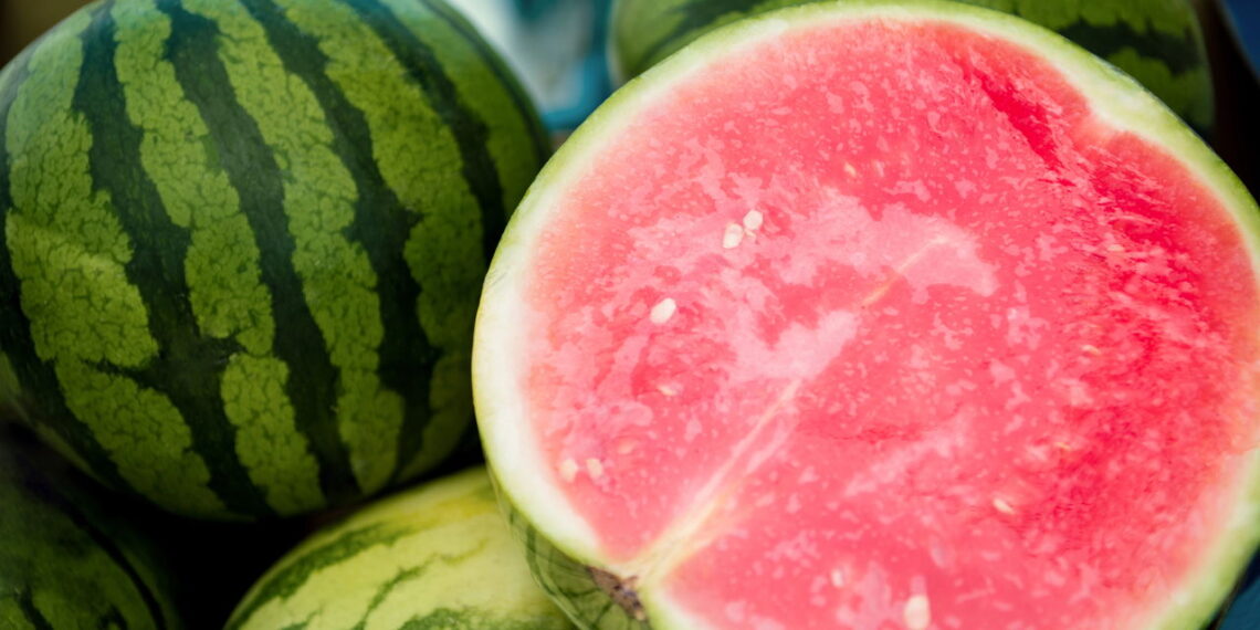Saiba os benefícios de ter um cultivo saudável e sem agrotóxicos de melancia no seu jardim