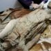 Múmia intacta descoberta em obra deixa arqueólogos chocados