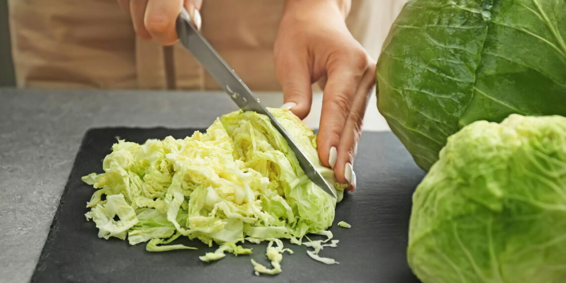Aprenda de forma prática e rápida de cultivar repolho no seu quintal sem erro