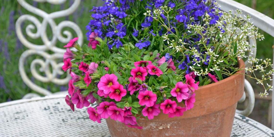 Como flores pequenas revolucionam a decoração de casa e o bem-estar