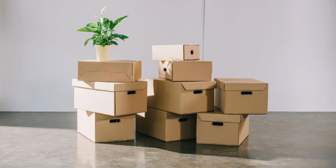 Monte a melhor mini estante com caixas de papelão reforçadas