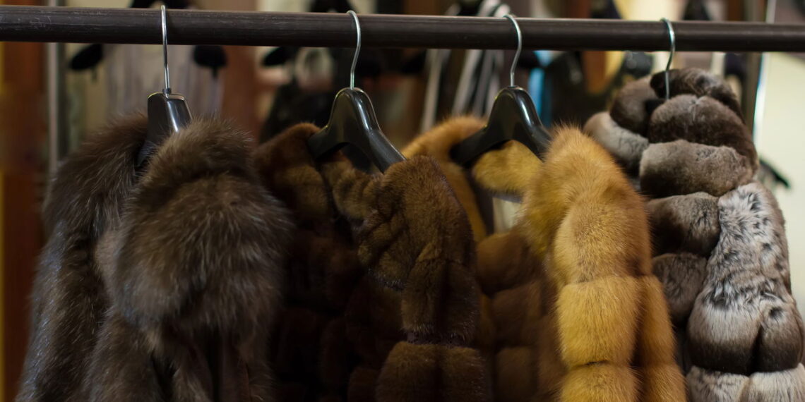 Você vai se apaixonar por esses casacos lindos e sustentáveis