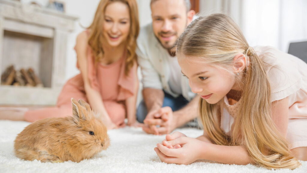 Você sabe qual pet pode mudar seu dia com simples gestos?