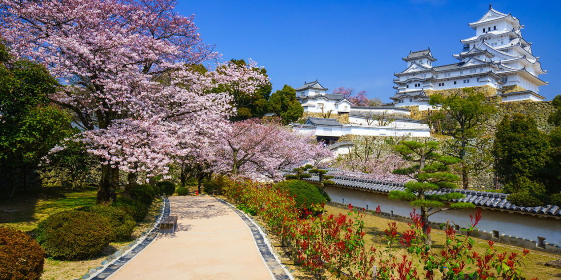 O Japão e suas peculiaridades que você precisa conhecer