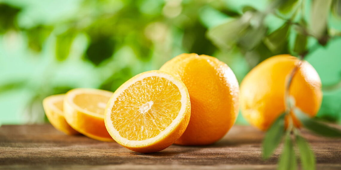 Saiba as vantagens de cultivar laranja em casa e aprenda como manter um pomar saudável no seu quintal!