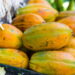 Aprenda da forma mais produtiva e saudável de ter um cultivo de mamão no seu quintal