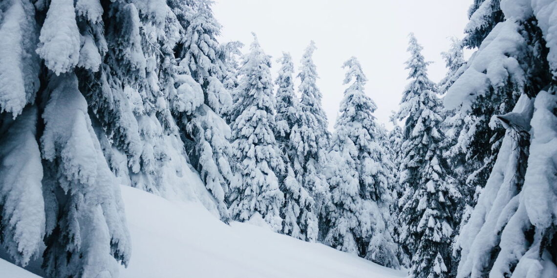 Você não vai acreditar que existem até 4 tipos diferentes de neve