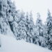 Você não vai acreditar que existem até 4 tipos diferentes de neve