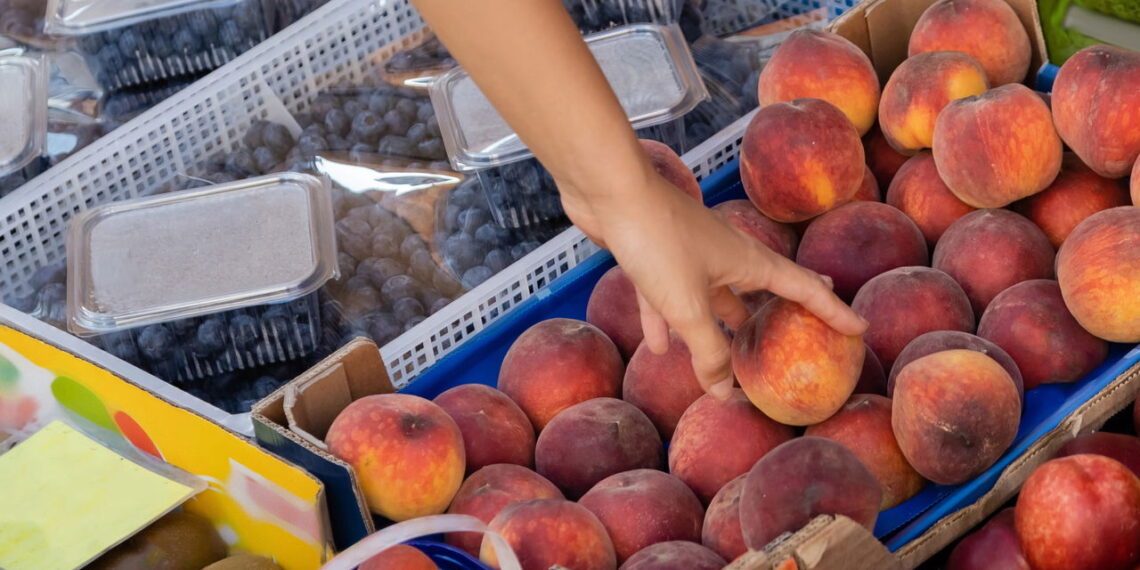 Aprenda a melhor forma de cultivar pêssegos em casa com apenas um caroço