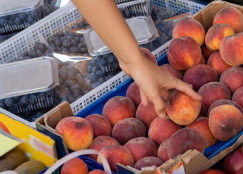 Aprenda a melhor forma de cultivar pêssegos em casa com apenas um caroço