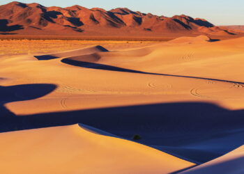 Prepare-se para a aventura definitiva no deserto do Saara