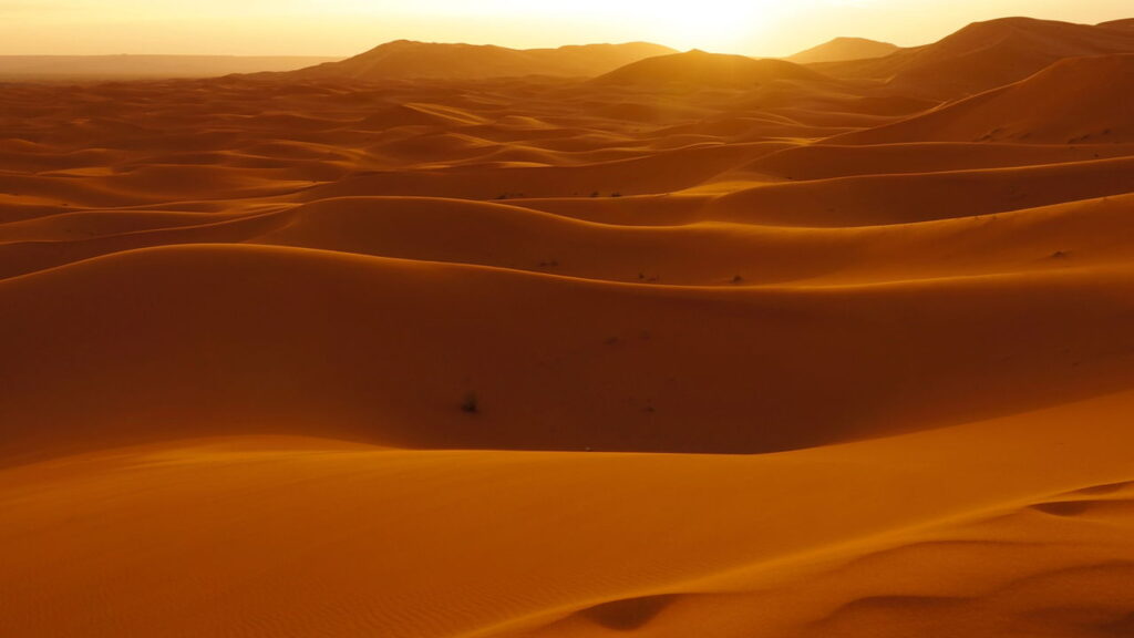 Prepare-se para a aventura definitiva no deserto do Saara