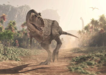 O que cientistas descobriram sobre dinossauros vai te surpreender