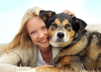 4 motivos para começar o reforço positivo com seu cão ainda hoje
