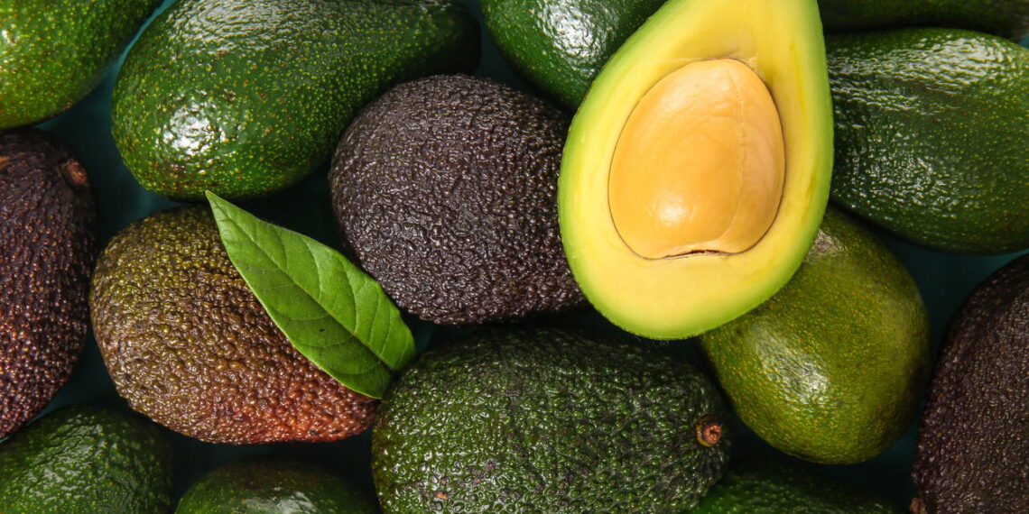 Aprenda a cultivar abacate em seu quintal de forma fácil e rápida