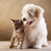 Por que cães comem rápido e gatos são tão exigentes com a comida