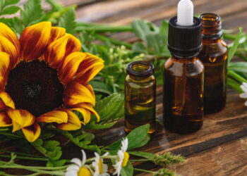 Veja os benefícios da camomila e por que cultivá-la em casa melhora sua saúde