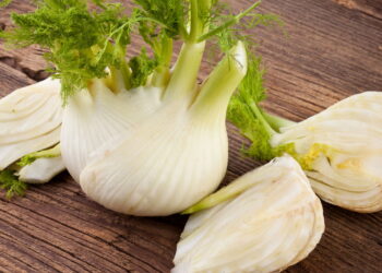 Saiba como te uma plantação vivida e natural de erva-doce medicinal em seu quintal