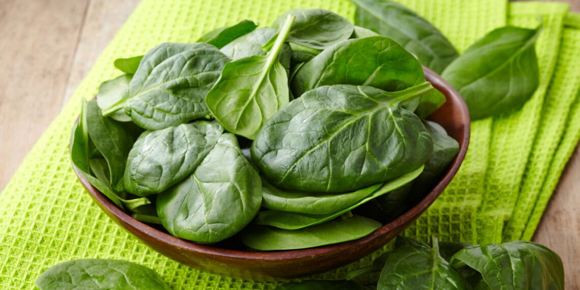 Aprenda a ter um cultivo saudável e fácil de espinafre em casa