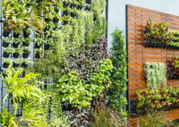 Esse é o jardim no apartamento mais prático que você vai ver hoje
