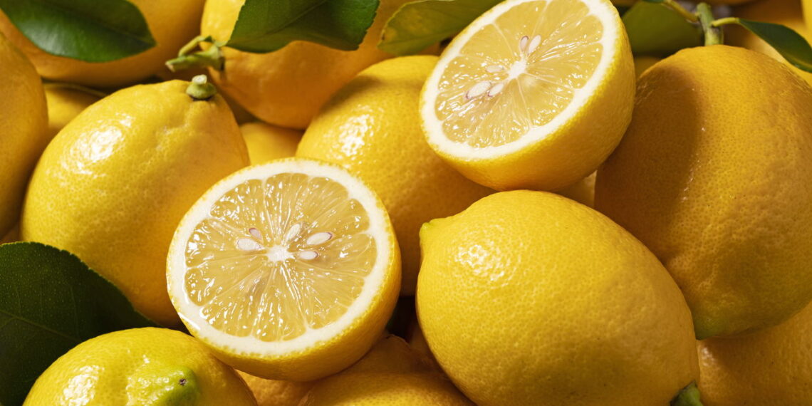 Dicas fáceis para cultivar limão em casa e transformar seu quintal em um jardim saudável