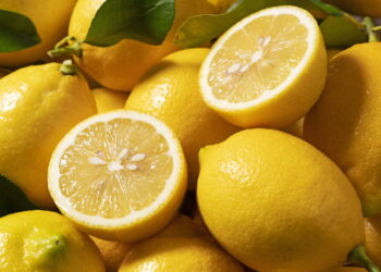 Aprenda a cultivar limão em casa com dicas fáceis e rápidas!