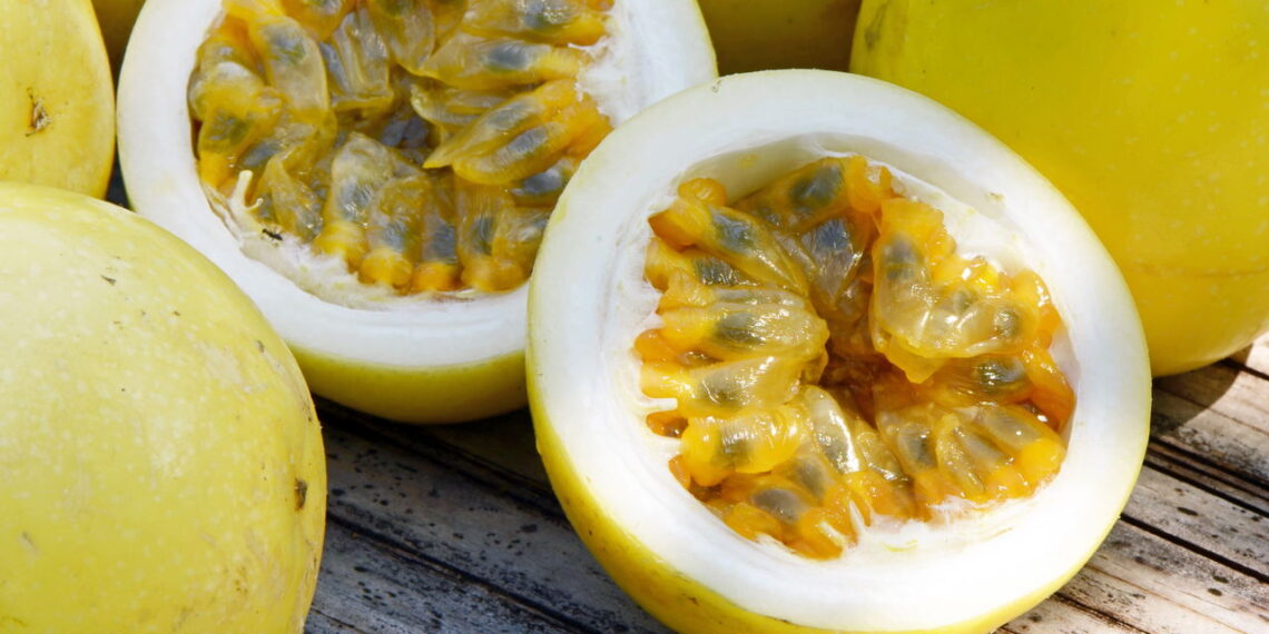 Saiba como ter um cultivo saudável e fácil de maracujá para fazer doces e receitas incríveis
