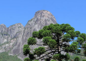 Essa é a cidade do Rio onde a tranquilidade reina e encanta novos moradores