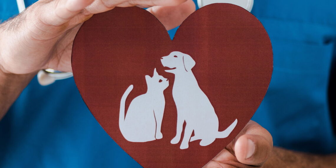 O kit que está virando essencial para quem tem pet em casa