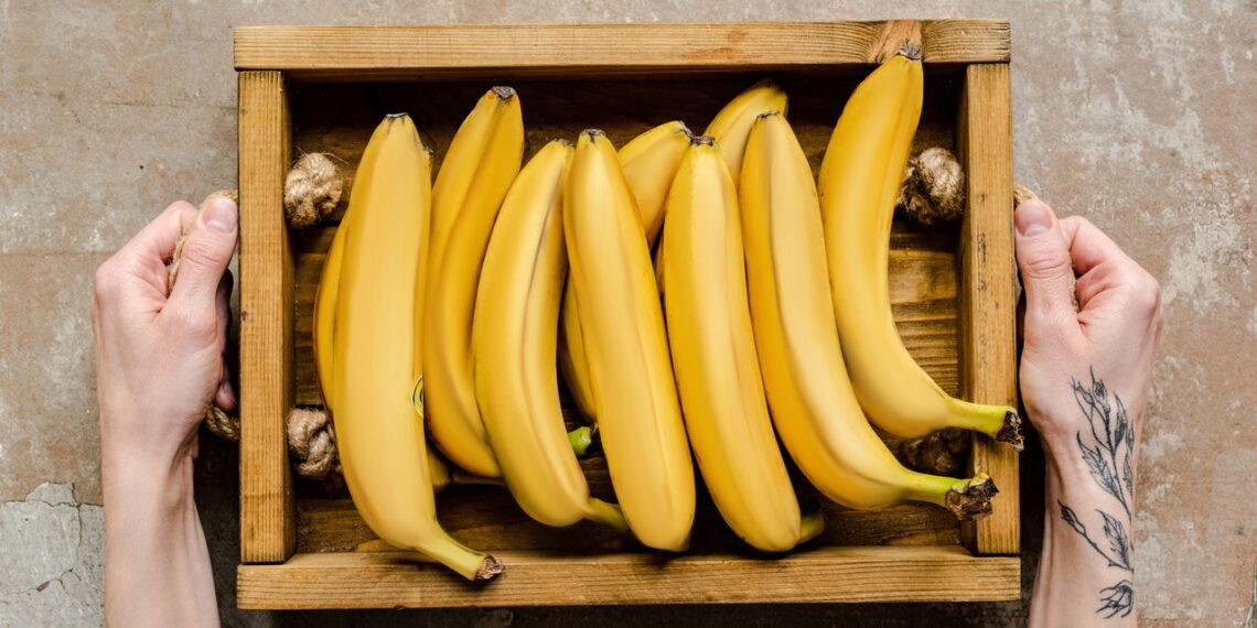 Esses são os melhores métodos para ter um cultivo de banana em casa