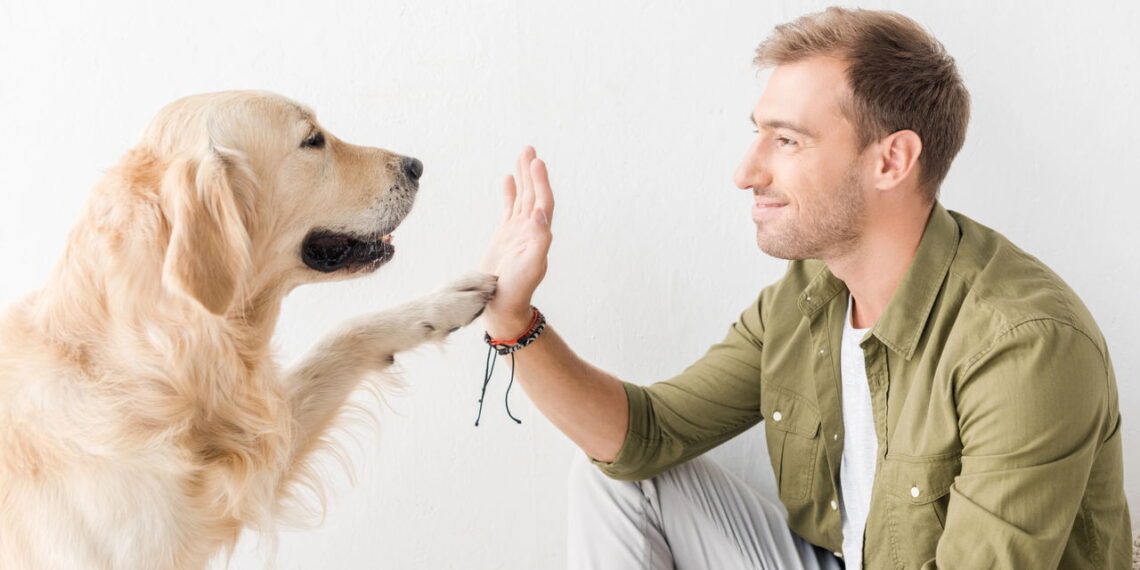 O que os cachorros realmente entendem quando você fala?
