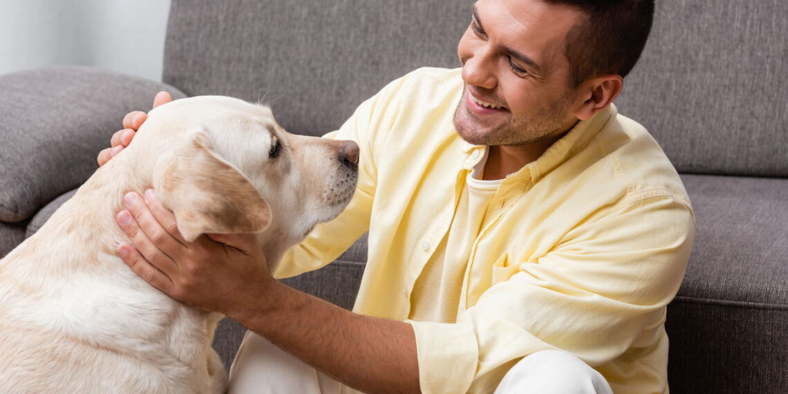 A técnica definitiva para fazer seu cão obedecer sempre