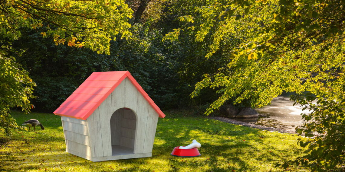 Qual e o melhor lugar para seu cachorro dormi no inverno?