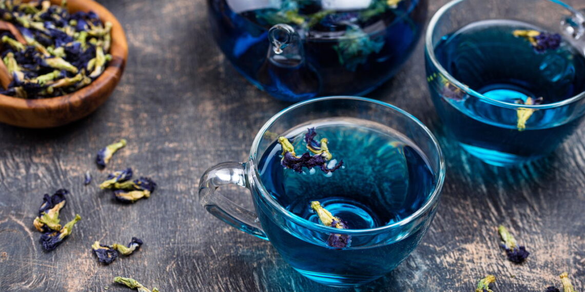 O chá azul está mudando a rotina de quem tem mais de 40 anos