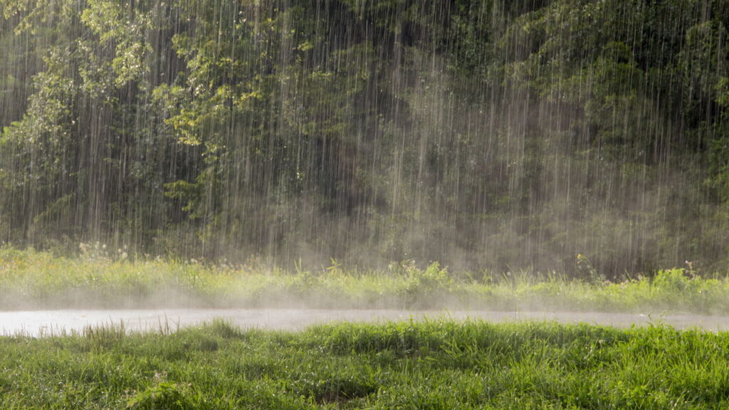 Sonhou com chuva? Isso pode revelar muito sobre seus sentimentos
