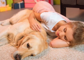 Seu pet dorme com você? A resposta pode impactar seu bem-estar