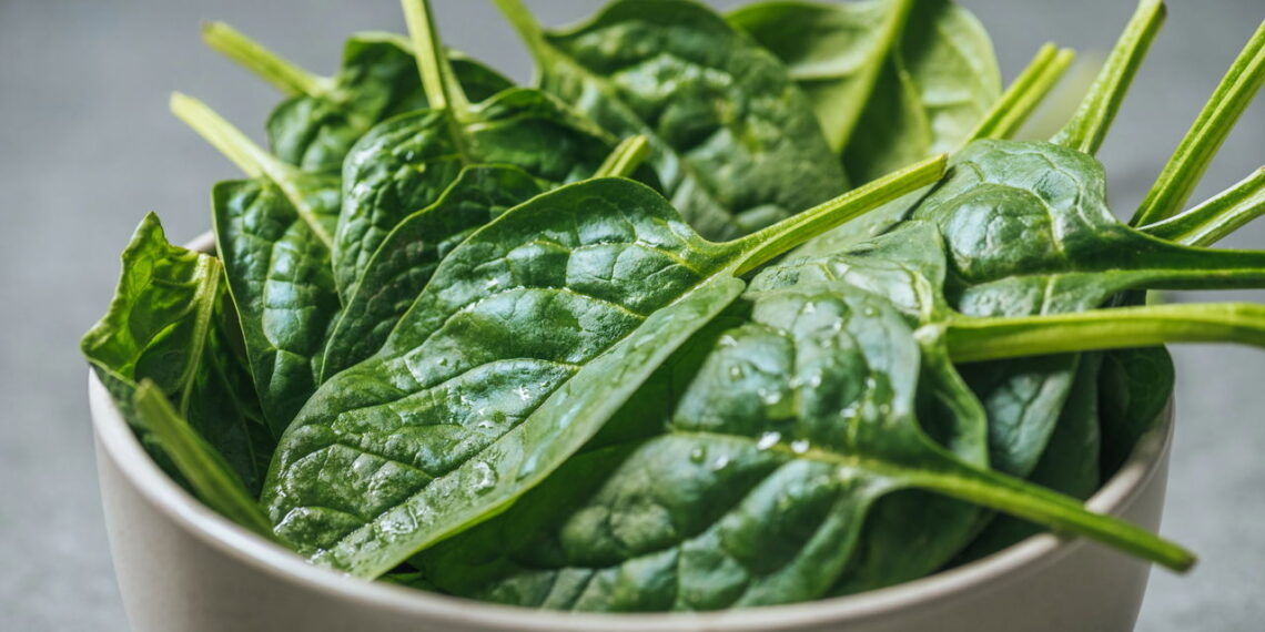 Essas dicas vão salvar seu cultivo de espinafre e garantir verdinhos frescos em casa!