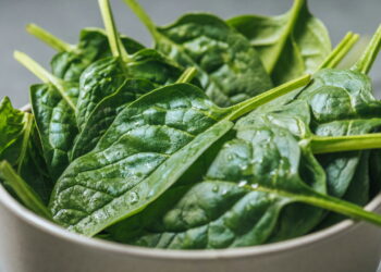 Essas dicas vão salvar seu cultivo de espinafre e garantir verdinhos frescos em casa!