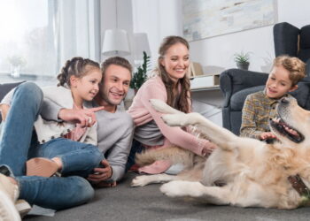 A atividade infantil mais criativa e sustentável para fazer em casa