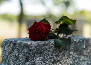 Morre aos 82 anos ícone da música pop dos anos 60